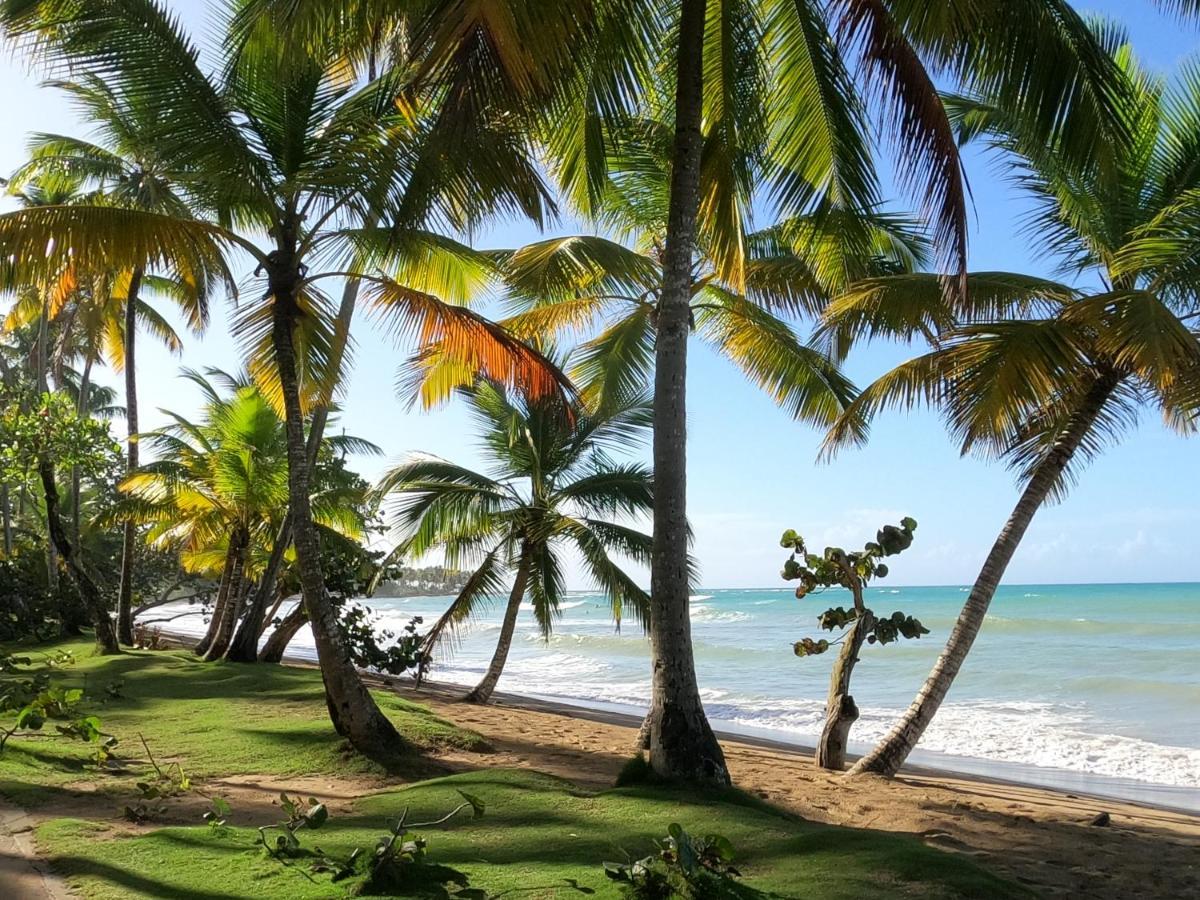 Hotel Bahia Punta Bonita 라스테레나스 외부 사진